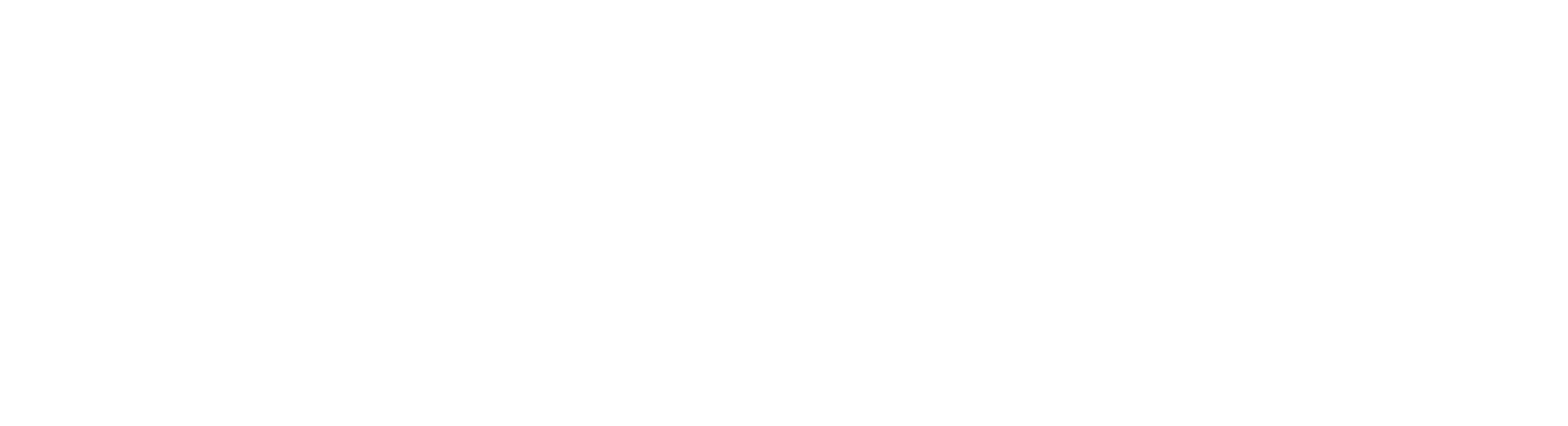 ConserveSC Upstate Logo White