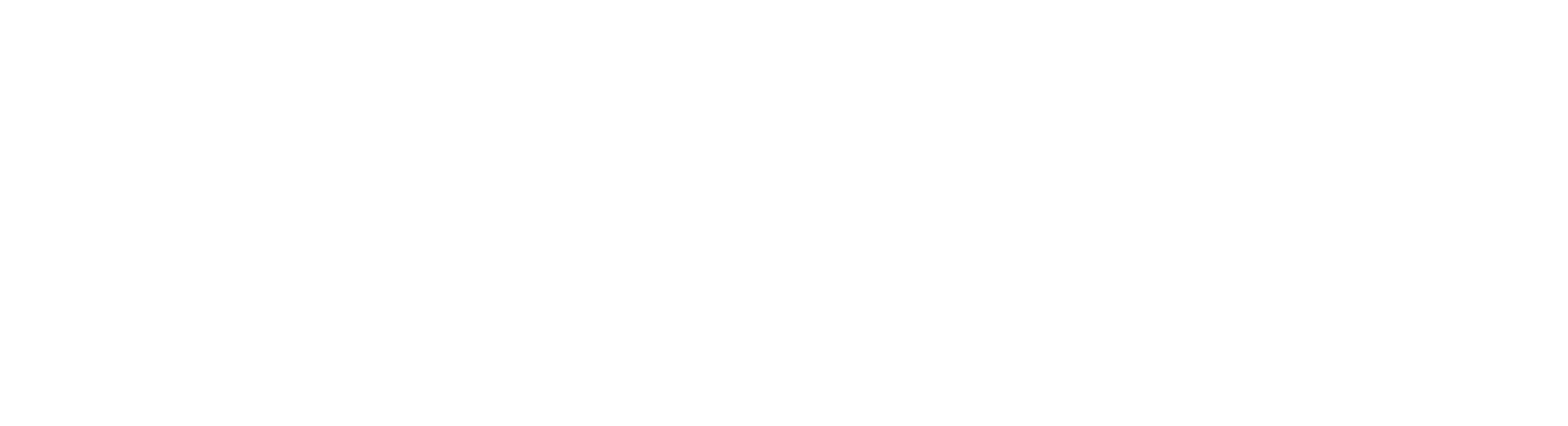 ConserveSC Logo White